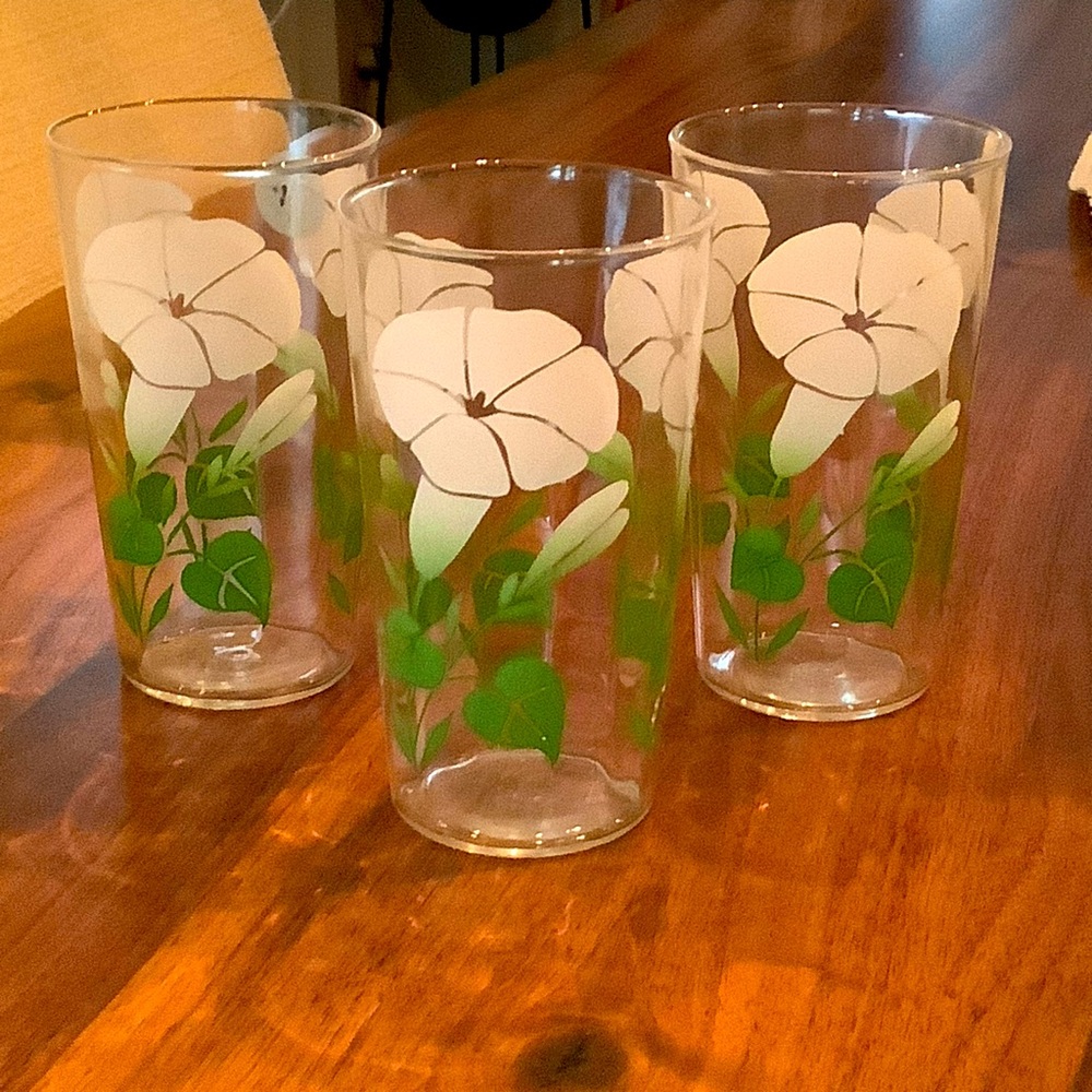 Vintage set of three Morning glory glasses